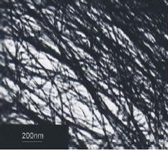 Aligned carbon nanotube powder with 200 nanometer size reference